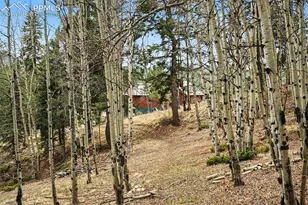 220 Rocky Mountain View, Divide, CO 80814 - Photo 27