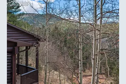 60 Beaver Pond Road, Divide, CO 80814 - Photo 11