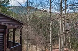 60 Beaver Pond Rd, Divide, CO 80814 - Photo 11
