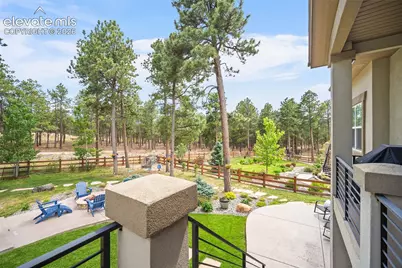 1558 Summerglow Lane, Monument, CO 80132 - Photo 5