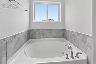 6007 Wendy Stream Wy, Colorado Springs, CO 80924 - Photo 31