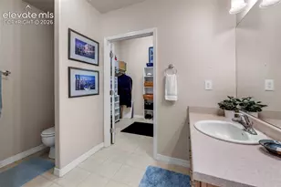 6679 Bethesda Point, Colorado Springs, CO 80918 - Photo 19
