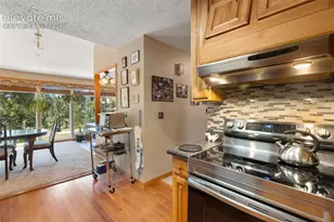 340 Ponderosa Ct, Woodland Park, CO 80863 - Photo 11