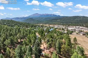 340 Ponderosa Ct, Woodland Park, CO 80863 - Photo 29