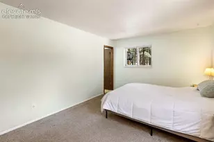 723 N Center St, Woodland Park, CO 80863 - Photo 13