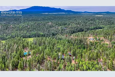 5544 County Road 5 Road, Divide, CO 80814 - Photo 41
