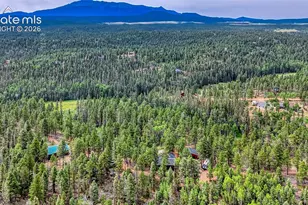 5544 County Road 5 Rd, Divide, CO 80814 - Photo 41