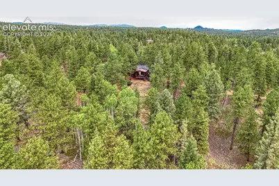 5544 County Road 5 Road, Divide, CO 80814 - Photo 45