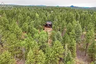 5544 County Road 5 Rd, Divide, CO 80814 - Photo 45