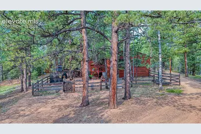 5544 County Road 5 Road, Divide, CO 80814 - Photo 3