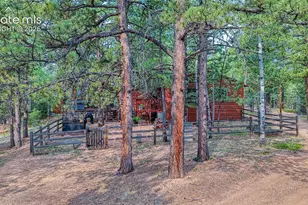 5544 County Road 5 Rd, Divide, CO 80814 - Photo 3