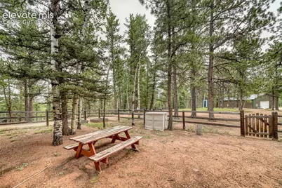 5544 County Road 5 Road, Divide, CO 80814 - Photo 43