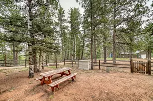 5544 County Road 5 Rd, Divide, CO 80814 - Photo 43