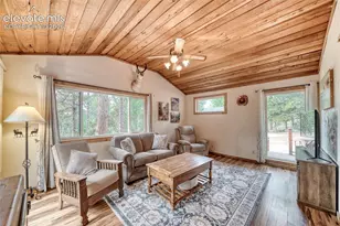 5544 County Road 5 Rd, Divide, CO 80814 - Photo 9