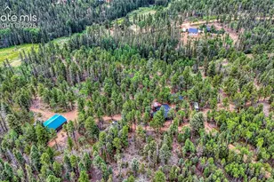 5544 County Road 5 Rd, Divide, CO 80814 - Photo 47