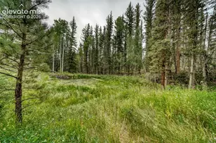 5544 County Road 5 Rd, Divide, CO 80814 - Photo 43
