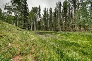 5544 County Road 5 Rd, Divide, CO 80814 - Photo 49