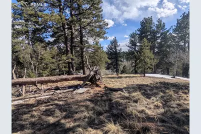56 Rampart Circle, Florissant, CO 80816 - Photo 21