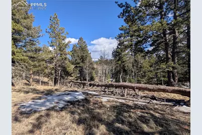 56 Rampart Circle, Florissant, CO 80816 - Photo 19