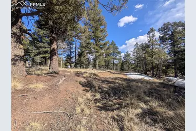 56 Rampart Circle, Florissant, CO 80816 - Photo 1