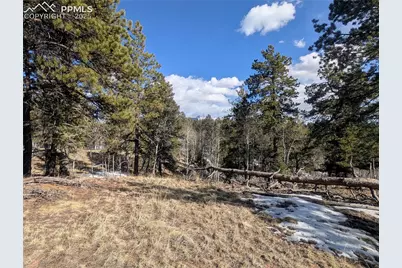 56 Rampart Circle, Florissant, CO 80816 - Photo 15