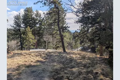 56 Rampart Circle, Florissant, CO 80816 - Photo 11