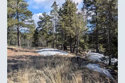 56 Rampart Circle, Florissant, CO 80816 - Photo 5