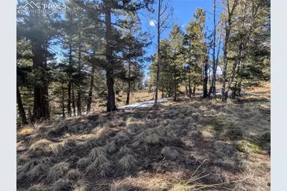 56 Rampart Circle, Florissant, CO 80816 - Photo 25