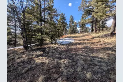 56 Rampart Circle, Florissant, CO 80816 - Photo 23