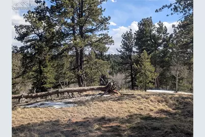 56 Rampart Circle, Florissant, CO 80816 - Photo 17