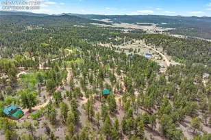 605 Obsidian Dr, Florissant, CO 80816 - Photo 47