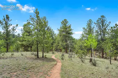 605 Obsidian Drive, Florissant, CO 80816 - Photo 41