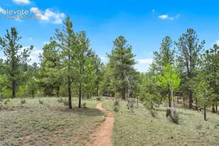 605 Obsidian Dr, Florissant, CO 80816 - Photo 41
