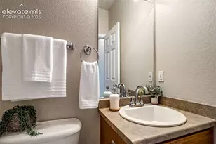 3040 Mandalay Grove, Colorado Springs, CO 80917 - Photo 23