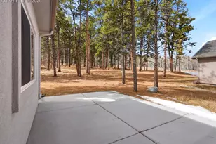 1305 Stone Ridge Dr, Woodland Park, CO 80863 - Photo 43