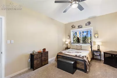 3115 Regent Drive, Woodland Park, CO 80863 - Photo 37