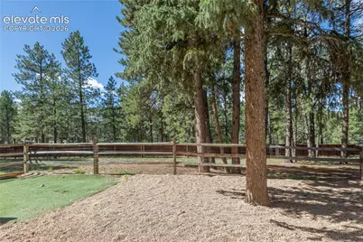3115 Regent Drive, Woodland Park, CO 80863 - Photo 41