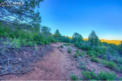 3135 Angel Terrace, Colorado Springs, CO 80904 - Photo 11