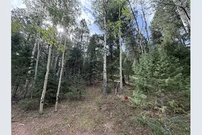 118 Will Stutley Drive, Divide, CO 80814 - Photo 3