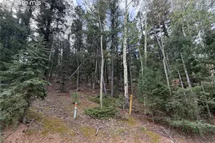 118 Will Stutley Dr, Divide, CO 80814 - Photo 1
