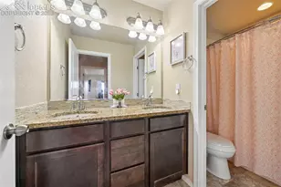 8742 Windy Plains Ct, Colorado Springs, CO 80927 - Photo 25
