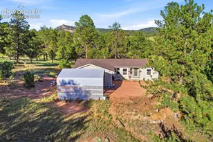 61 Forge Dr, Florissant, CO 80816 - Photo 7