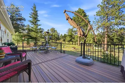 61 Forge Drive, Florissant, CO 80816 - Photo 17