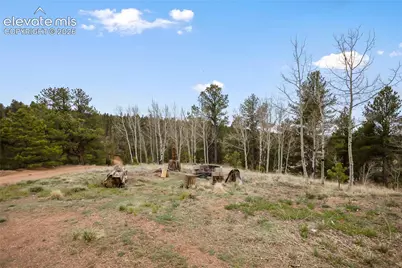 79 Beaver Creek Circle, Florissant, CO 80816 - Photo 5