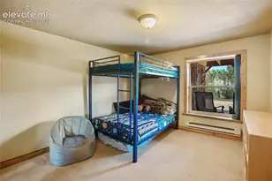 79 Beaver Creek Cir, Florissant, CO 80816 - Photo 19