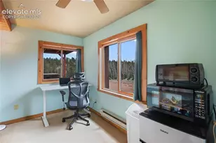 79 Beaver Creek Cir, Florissant, CO 80816 - Photo 23