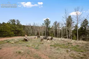 79 Beaver Creek Cir, Florissant, CO 80816 - Photo 5