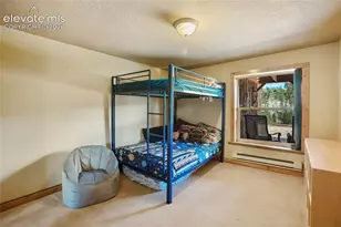 79 Beaver Creek Cir, Florissant, CO 80816 - Photo 19