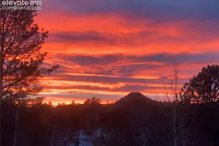 79 Beaver Creek Cir, Florissant, CO 80816 - Photo 29
