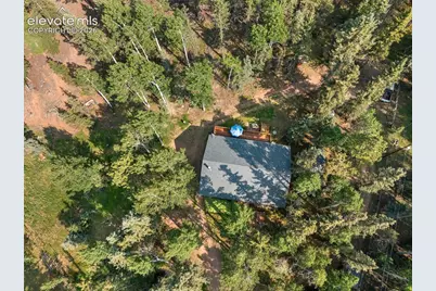 56 Blue Jay Lane, Divide, CO 80814 - Photo 47